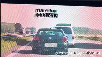 112-nieuws: automobiliste stapelt fout op fout • weer reekalfjes gered