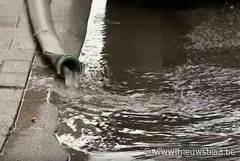 Testprojecten in wijk Dam om wateroverlast tegen te gaan