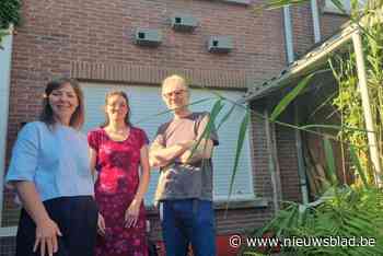 Eerste Antwerpse loft voor de huismus staat in Ekeren: “De populatie staat onder druk, dus moeten we helpen die te beschermen”