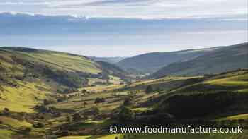 Welsh Government to host sustainable food and drink conference