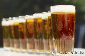 Van vallen voor Aziatische hoornaar tot bierproeverij: naar waar gaat burgerbudget?