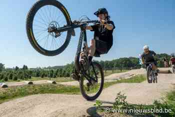 Lippelo heeft ‘skillpark’ voor de fiets: “Ook in Puurs zal er eentje komen”
