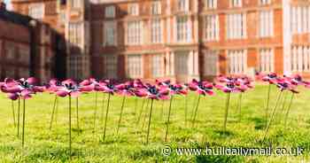 Field of forget me nots will remember lost loved ones in touching East Yorkshire tribute