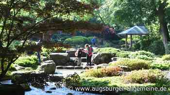 Nach Starkregen: Wasserlauf im Botanischen Garten wieder in Betrieb