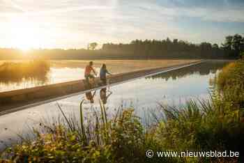 Toeristen boeken vaakst rechtstreeks bij de uitbater en geven Limburg hoogste score