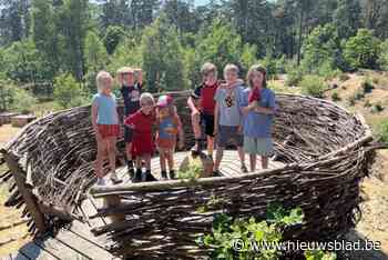 Eekhoorntjespad door Lichtaartse bossen helemaal opgefrist: “Kinderen kunnen prachtige natuur ontdekken”