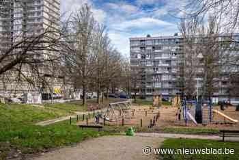 19 verdachten opgepakt na grote politieoperatie tegen drugsbende in Brusselse Peterboswijk