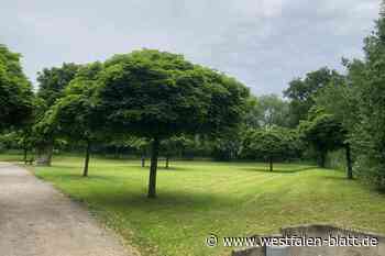 Borgholz bekommt Unterkunft für Flüchtlinge