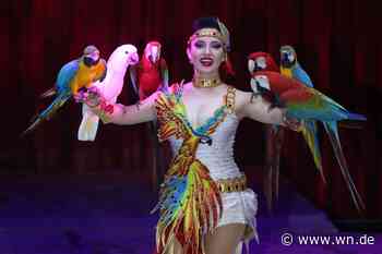 Begeisterte Stimmung im Zirkus Charles Knie