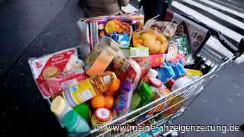 Vier Einkaufswagen für eine Woche: So viel zahlt diese Großfamilie pro Einkauf