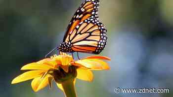 My favorite Mint alternative is still great 7 months later - and it's 50% off right now