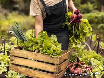 Keep it Fresh: 4 Ecommerce Moves for Market Mastery