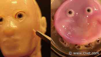 Thanks, Scientists, for This Terrifying Smiling Robot Face Made of Living Skin Cells