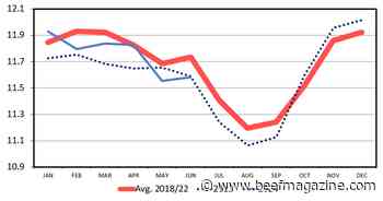 May placements exceed expectations in June cattle on feed report