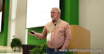 Modern and precise: Using gene editing to change the blueprint of an organism