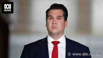 Fact check: Are overseas arrivals outpacing housing construction at a rate of four to one?