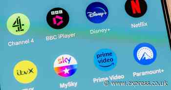 Brit's simple tip will stop companies pestering you to renew subscription services