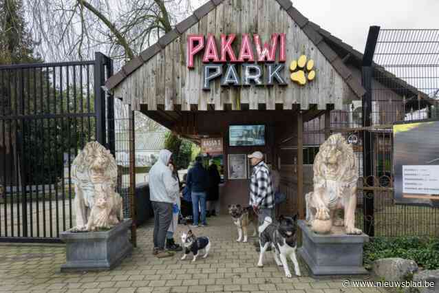 Pakawi Park viert vijfjarig bestaan met randanimatie