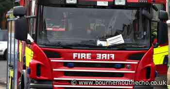 Gorse catches fire on Napier Road near holiday park in Poole