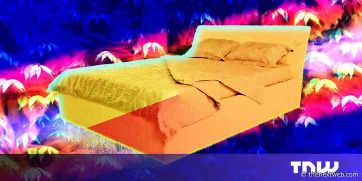 ‘Sleeping on it’ really does help: 4 recent sleep research and tech breakthroughs