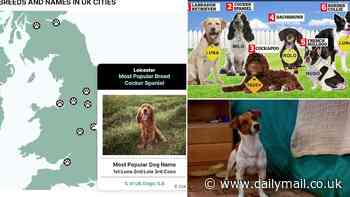 From Luna to Alfie and Teddy, MailOnline's new interactive map reveals the most popular dog names in YOUR area