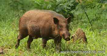 Farm Progress America, June 27, 2024