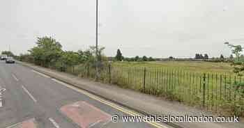 Bridge Road Erith: Grass fire as London bakes in heatwave