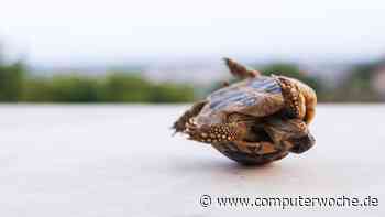 Tipps gegen KI-Leistungsprobleme: So wird GenAI performant