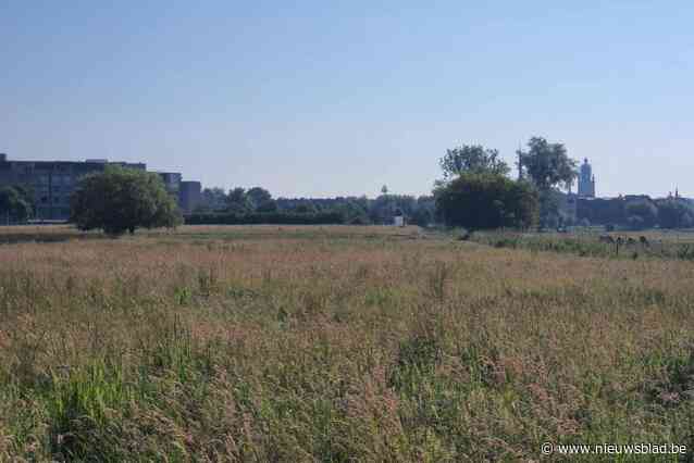 Grote Weide wordt natuurbelevingszone en natuurlijk overstromingsgebied: “Om wateroverlast in het centrum te vermijden”
