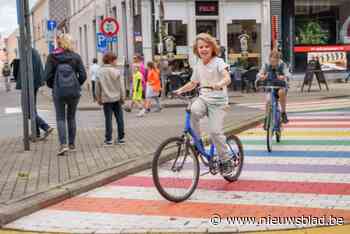 Uitbater gezocht voor drankenstand tijdens autovrije zondag