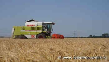 Graanoogst West-Europa komt langzaam op gang