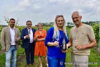 Nu ook mousserende wijn van Brugse bodem: “Je proeft meteen het grote potentieel”