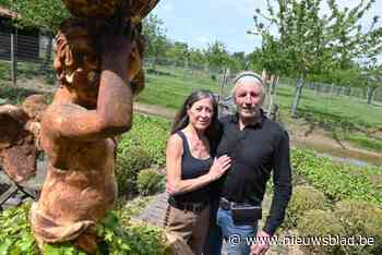 Van lomi lomi tot shiatsu: Joke (56) organiseert festival waar massage bovenaan affiche staat