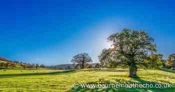 When is the next heatwave in the UK 2024? Met Office weather