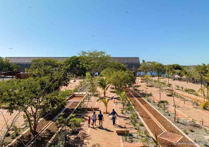 Stein auf Stein. Ziegel global
 - BAUNETZWOCHE#648