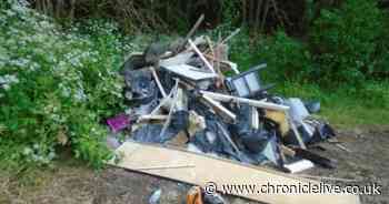 Flytipper jailed for dumping waste at popular North East park