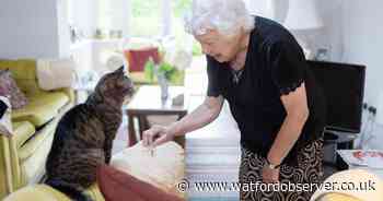 Discover Birchgrove's pet-friendly retirement properties