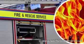 Firefighters tackle oak fire at Bushey Hall Golf Club