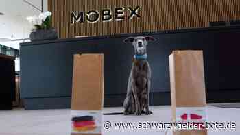 EM-Stimmung in Nagold: Vom EM-Song bis zum Tierorakel