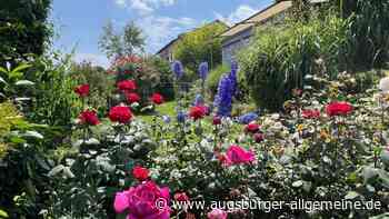 Tag der offenen Gartentür: Was am Sonntag im Kreis Neu-Ulm geboten ist