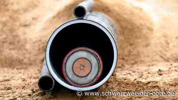 Wildberg und Calw betroffen: Bagger verursacht großflächigen Stromausfall