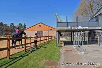 Oppositie ziet geen oplossing in gedeeltelijke verkoop van Breugelhoeve: “Je kan hier onmogelijk winstgevende activiteit opstarten”