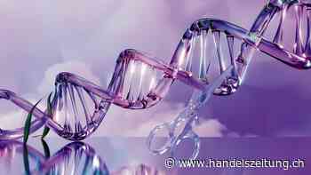 Gemüse und Obst nach Mass