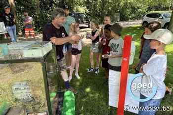 Lummense kindergemeenteraad en  groendienst bouwen samen een bijenburcht