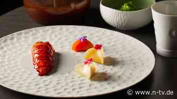 Oetker geht essen: Der Hummer ist der Hammer