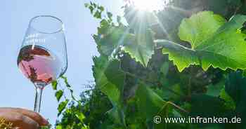 Nordheimer Hoftage finden bald statt - Kellerführung, Live-Musik, Hüpfburg & Co.
