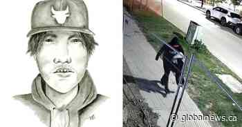 Edmonton police ask for public’s help finding suspect in ‘serious, unprovoked’ assault