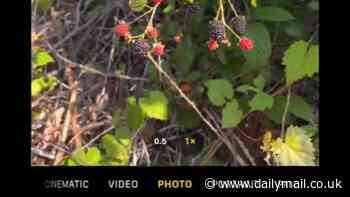 The iPhone tricks you didn't know about - and one of the hacks can even help you get to sleep