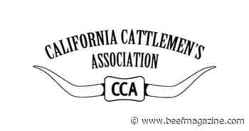 CCA secures funding for wolf compensation in revised budget