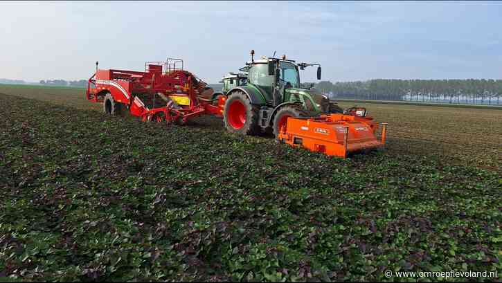 Flevoland - Dit is waarom de Flevolandse landbouwgrond veel duurder is dan in de rest van Nederland